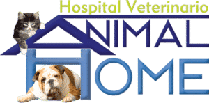 HOSPITAL VETERINARIO MEXICO ANIMAL HOME